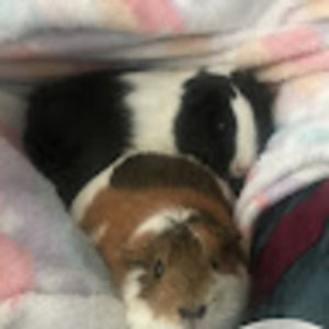 Meet your Posher, Victoria